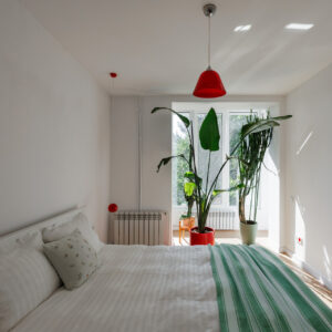 Payment for Invoice 44258 , Booking 44257, Name: Cozy Apartment Near Chișinău Pedestrian Street, Period: from 24.12.2025 to 26.12.2025